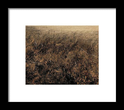 MO Grass - Framed Print