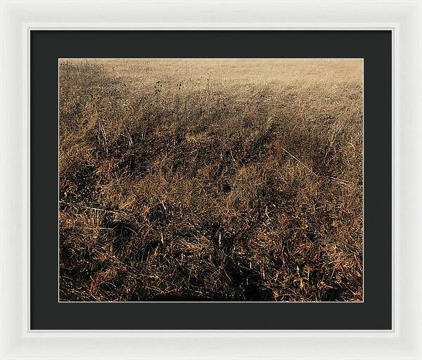 MO Grass - Framed Print