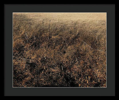 MO Grass - Framed Print