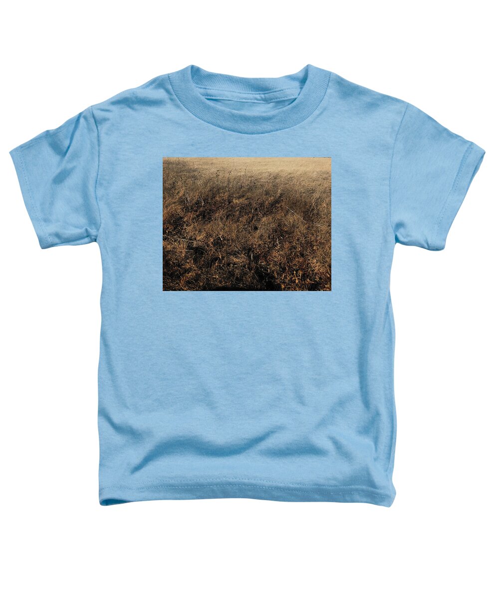 MO Grass - Toddler T-Shirt