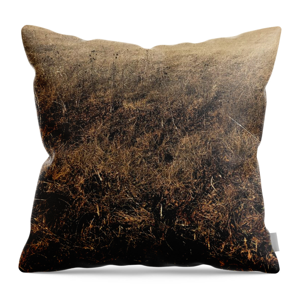MO Grass - Throw Pillow
