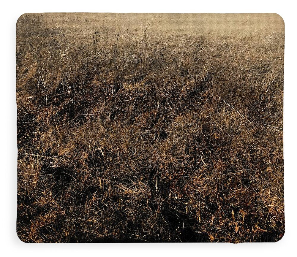 MO Grass - Blanket