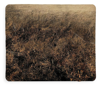 MO Grass - Blanket