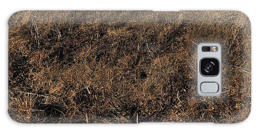 MO Grass - Phone Case