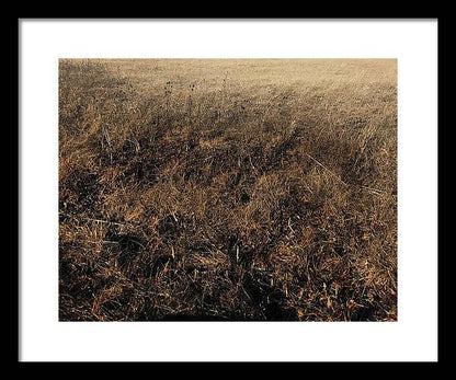 MO Grass - Framed Print