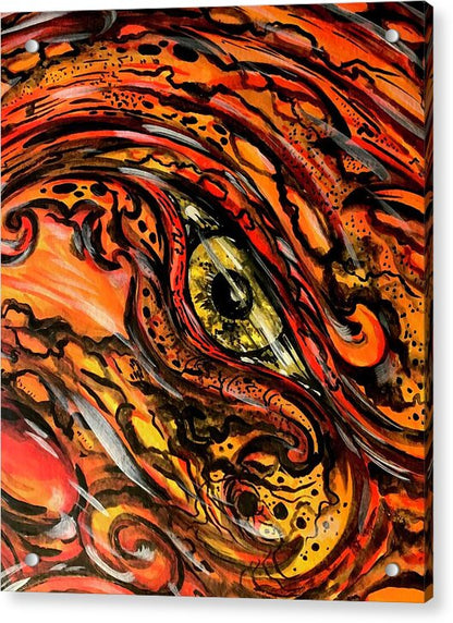 Orange Eye - Acrylic Print