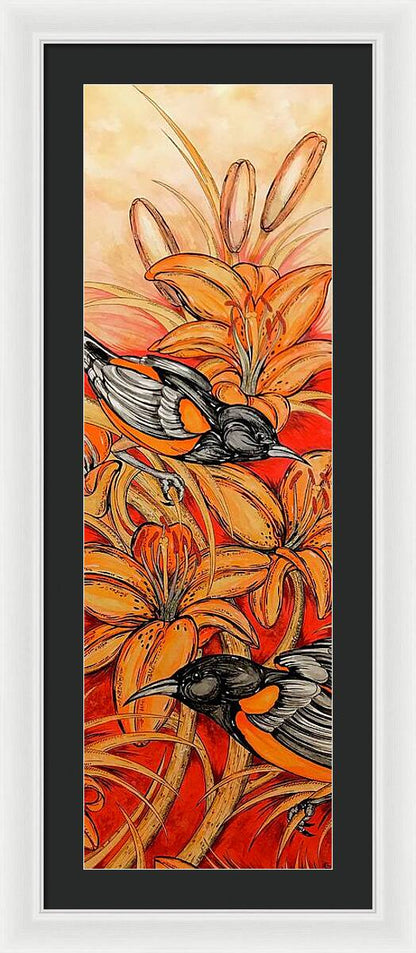 Oriole Full - Framed Print