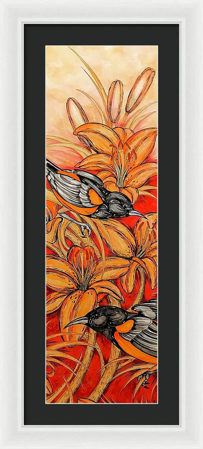 Oriole Full - Framed Print