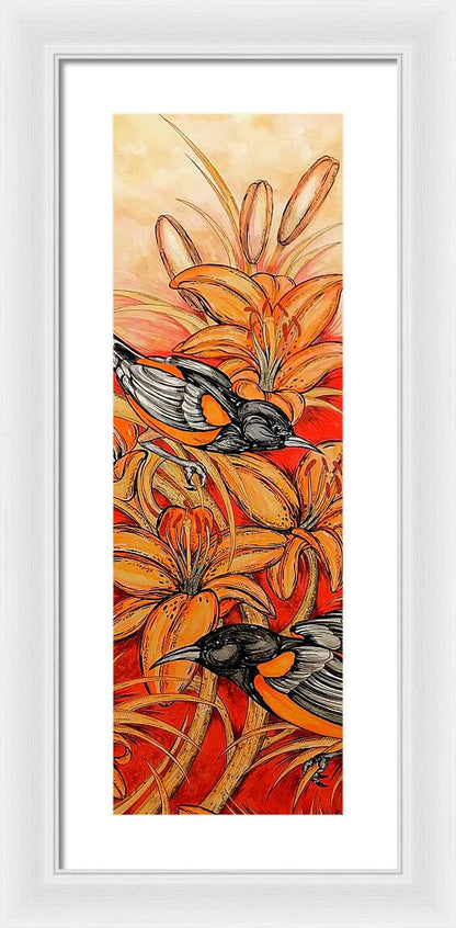 Oriole Full - Framed Print