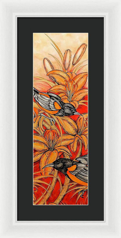 Oriole Full - Framed Print