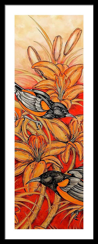 Oriole Full - Framed Print