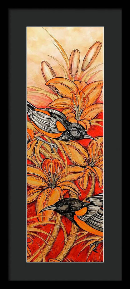 Oriole Full - Framed Print