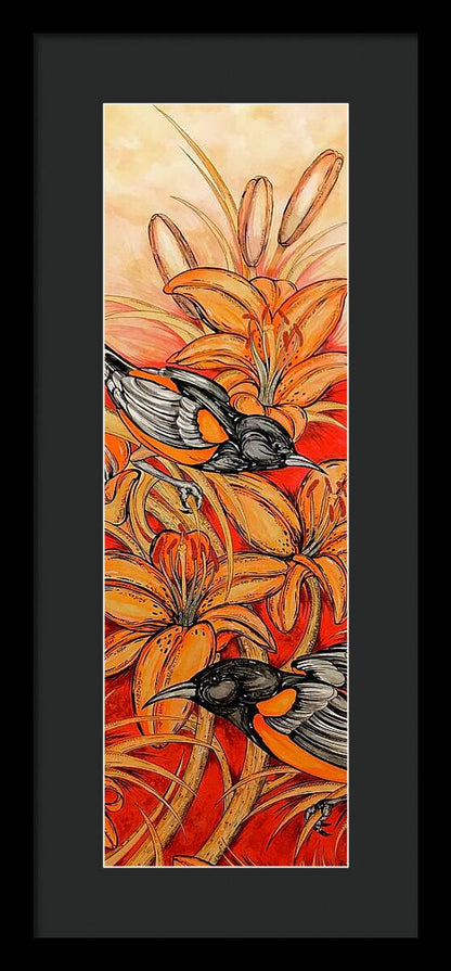 Oriole Full - Framed Print