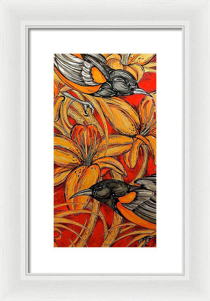 Oriole Pair - Framed Print