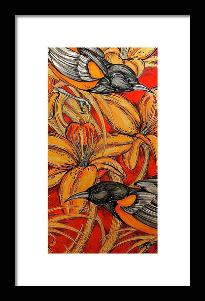 Oriole Pair - Framed Print