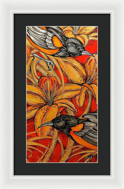 Oriole Pair - Framed Print