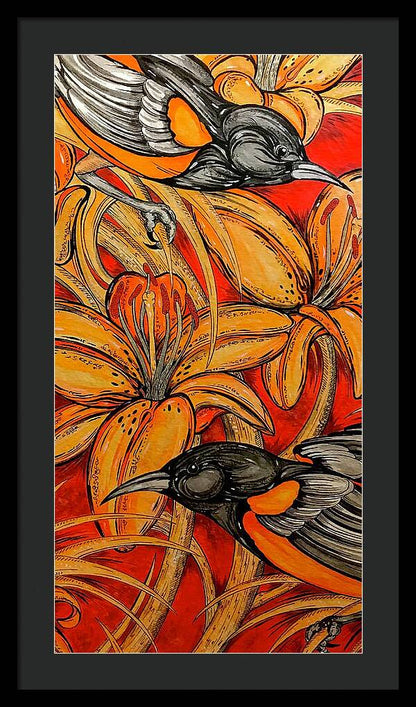 Oriole Pair - Framed Print