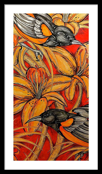 Oriole Pair - Framed Print