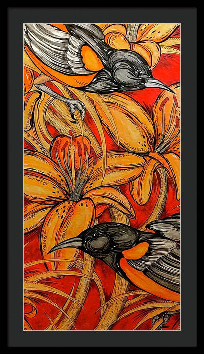 Oriole Pair - Framed Print