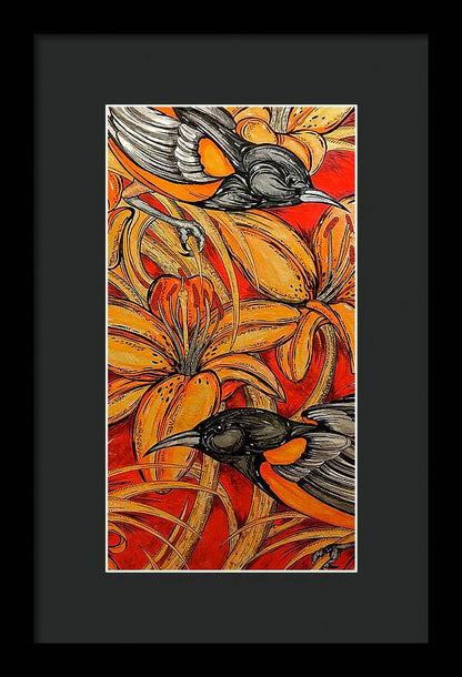 Oriole Pair - Framed Print