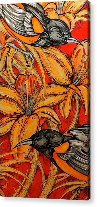 Oriole Pair - Acrylic Print