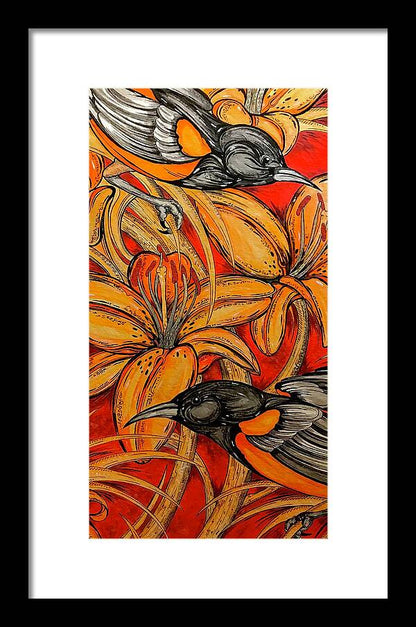 Oriole Pair - Framed Print