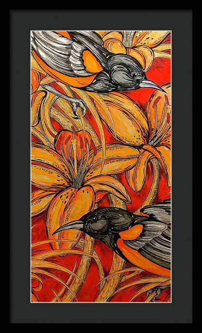 Oriole Pair - Framed Print