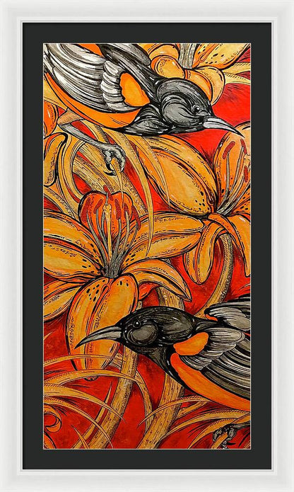 Oriole Pair - Framed Print