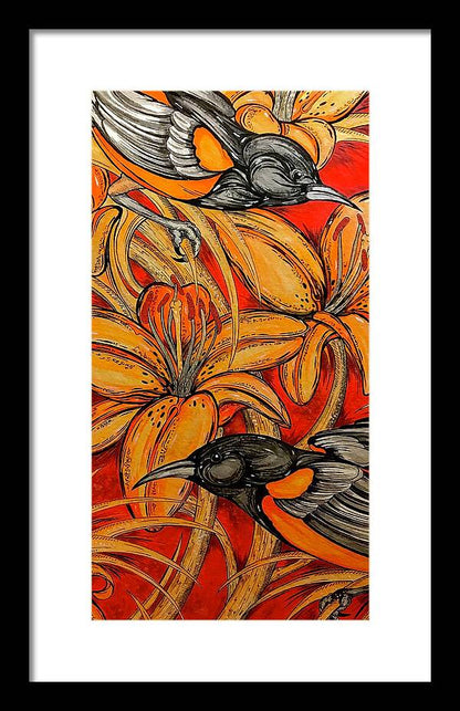 Oriole Pair - Framed Print