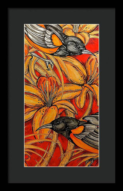 Oriole Pair - Framed Print