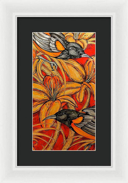 Oriole Pair - Framed Print
