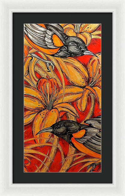 Oriole Pair - Framed Print
