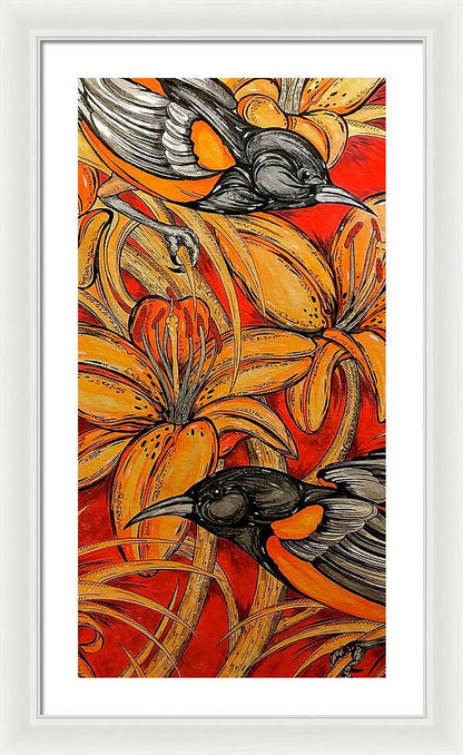 Oriole Pair - Framed Print