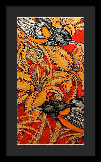 Oriole Pair - Framed Print
