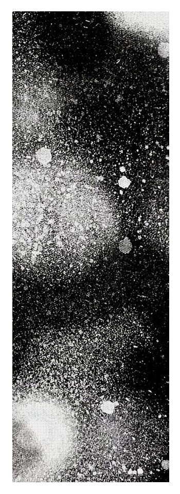 Overspray - Yoga Mat