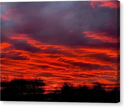 Red at Night - Canvas Print