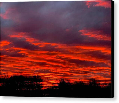 Red at Night - Canvas Print