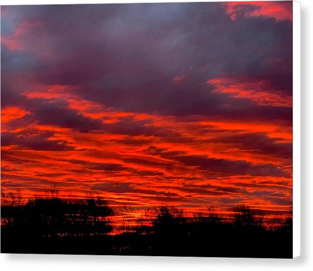 Red at Night - Canvas Print