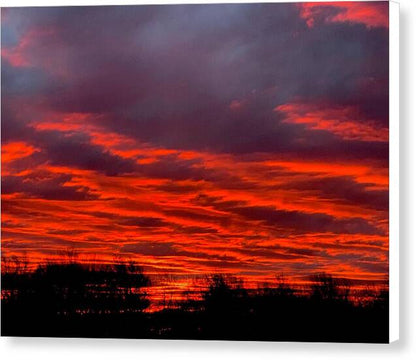 Red at Night - Canvas Print