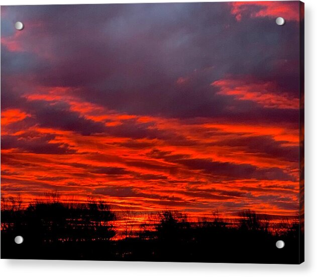 Red at Night - Acrylic Print