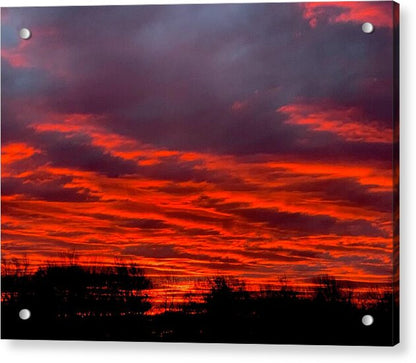 Red at Night - Acrylic Print