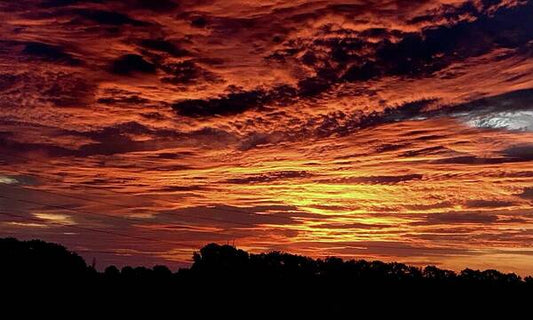 Sunrise - Art Print