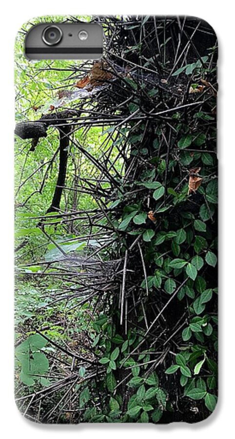 Thorn Trail - Phone Case