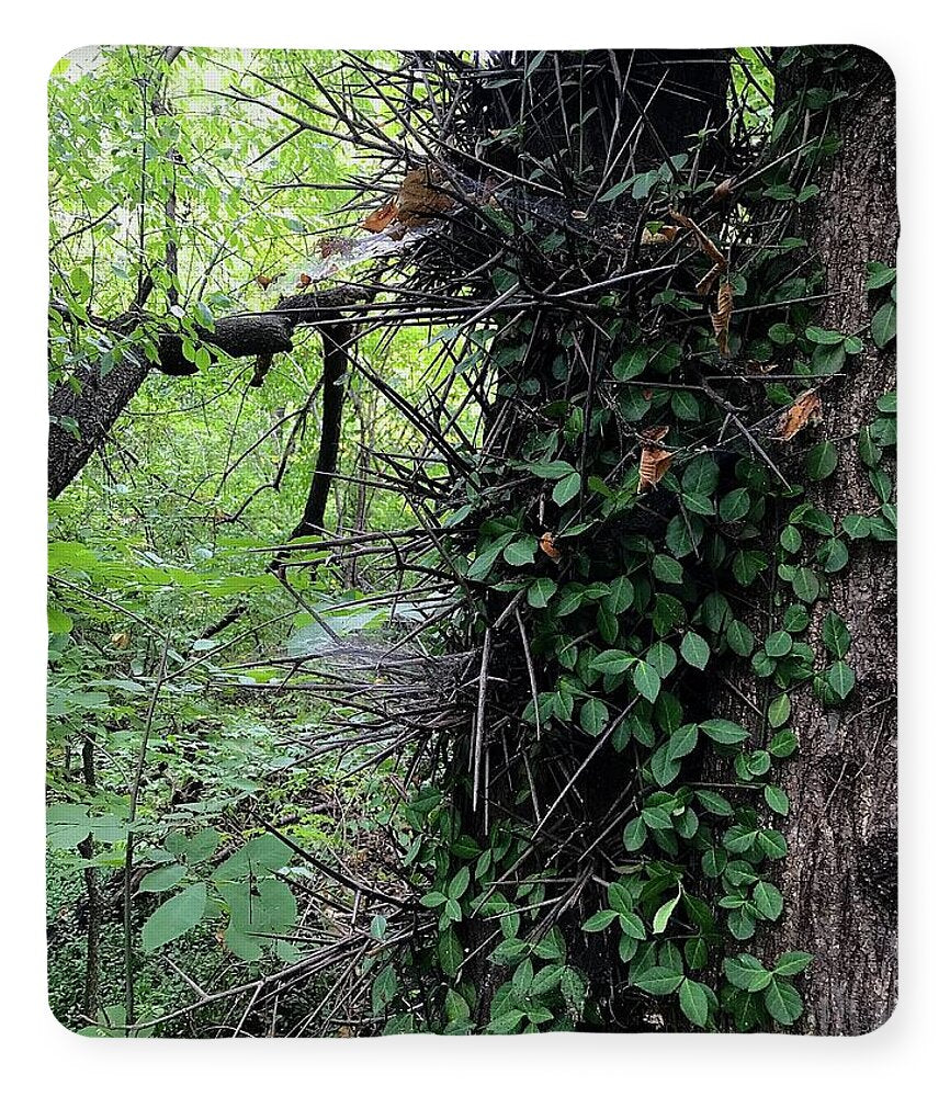 Thorn Trail - Blanket
