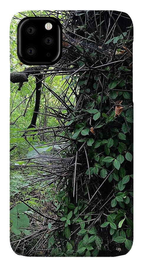 Thorn Trail - Phone Case