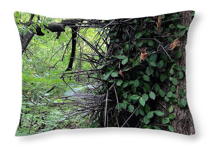Thorn Trail - Throw Pillow
