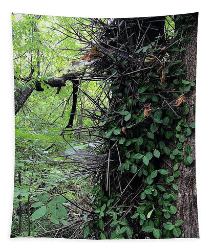 Thorn Trail - Tapestry