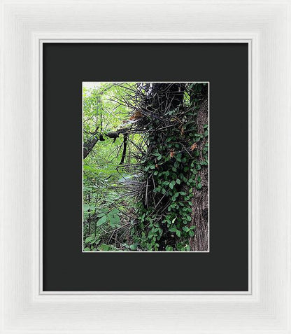 Thorn Trail - Framed Print
