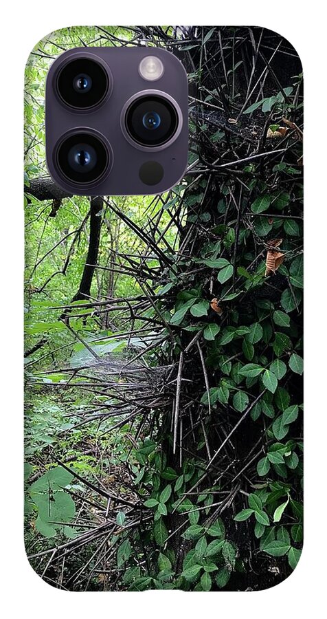 Thorn Trail - Phone Case