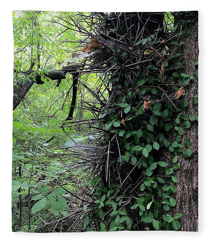 Thorn Trail - Blanket